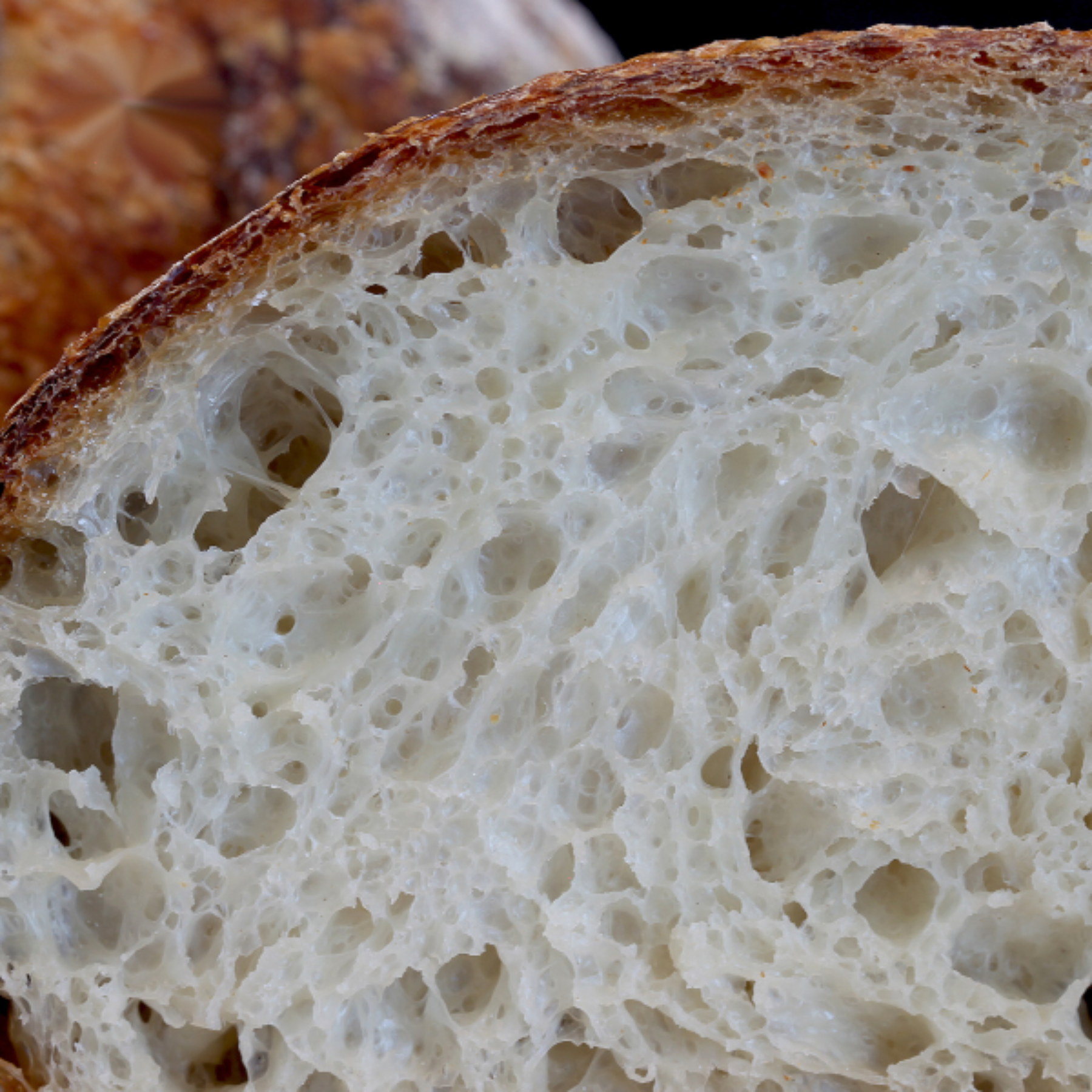 Gandolfos product sourdough bread-nol