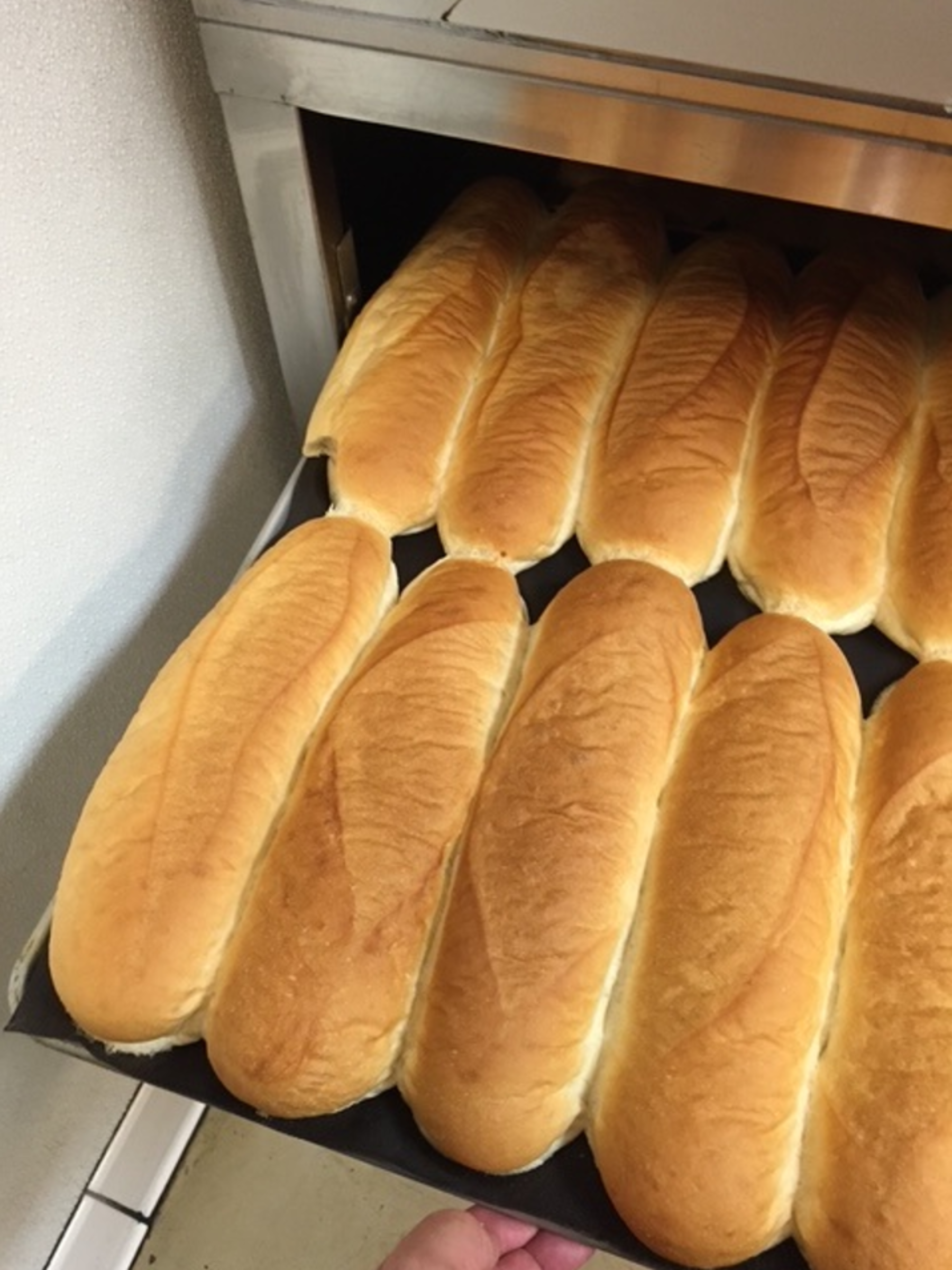 gandolfos-deli-hero-rolls-fresh-backed-full gandolfos-deli-hero-rolls-fresh-backed-full